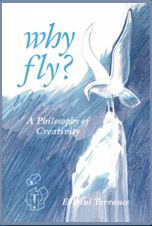 Why Fly?